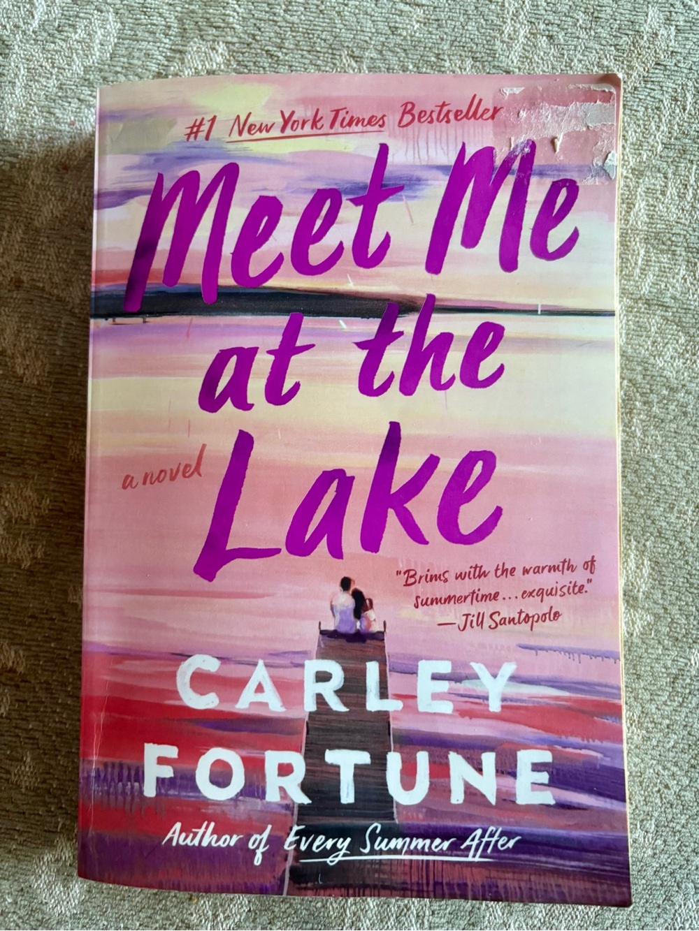 'Meet Me at the Lake' Paperback Book